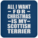 All I Want For Christmas Is My Scottish Terrier - Coaster