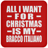 All I Want For Christmas Is My Bracco Italiano - Coaster