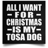 All I Want For Christmas Is My Tosa Dog - Poster Square