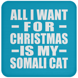 All I Want For Christmas Is My Somali Cat - Coaster