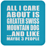 All I Care About Is Greater Swiss Mountain Dog - Drink Coaster