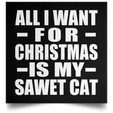 All I Want For Christmas Is My Sawet Cat - Poster Square
