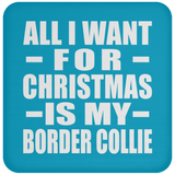 All I Want For Christmas Is My Border Collie - Coaster