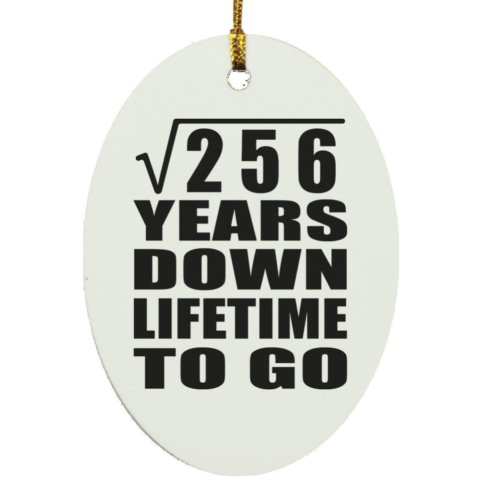 16th Anniversary Square Root of 256 Years Lifetime To Go - Oval Ornament