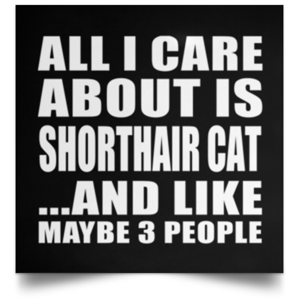 All I Care About Is Shorthair Cat - Poster Square