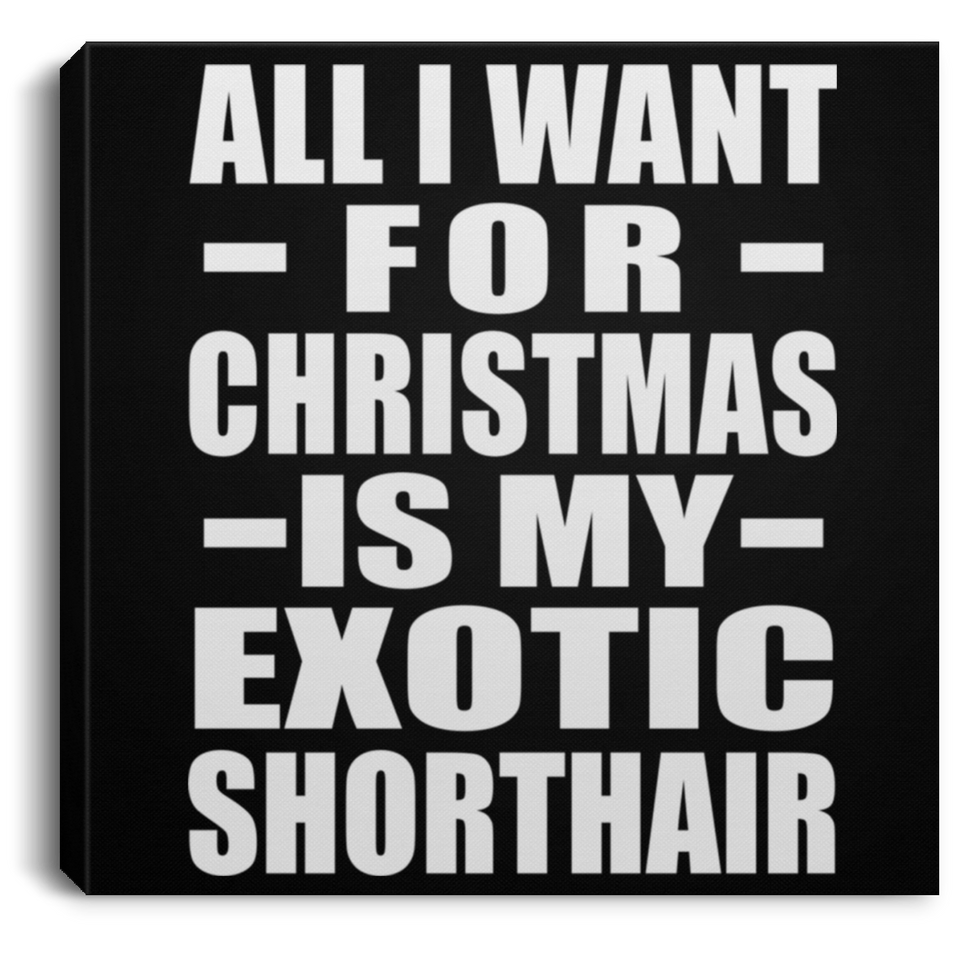 All I Want For Christmas Is My Exotic Shorthair - Canvas Square