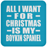 All I Want For Christmas Is My Boykin Spaniel - Coaster