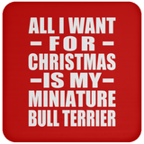 All I Want For Christmas Is My Miniature Bull Terrier - Coaster