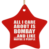 All I Care About Is Bombay - Star Ornament