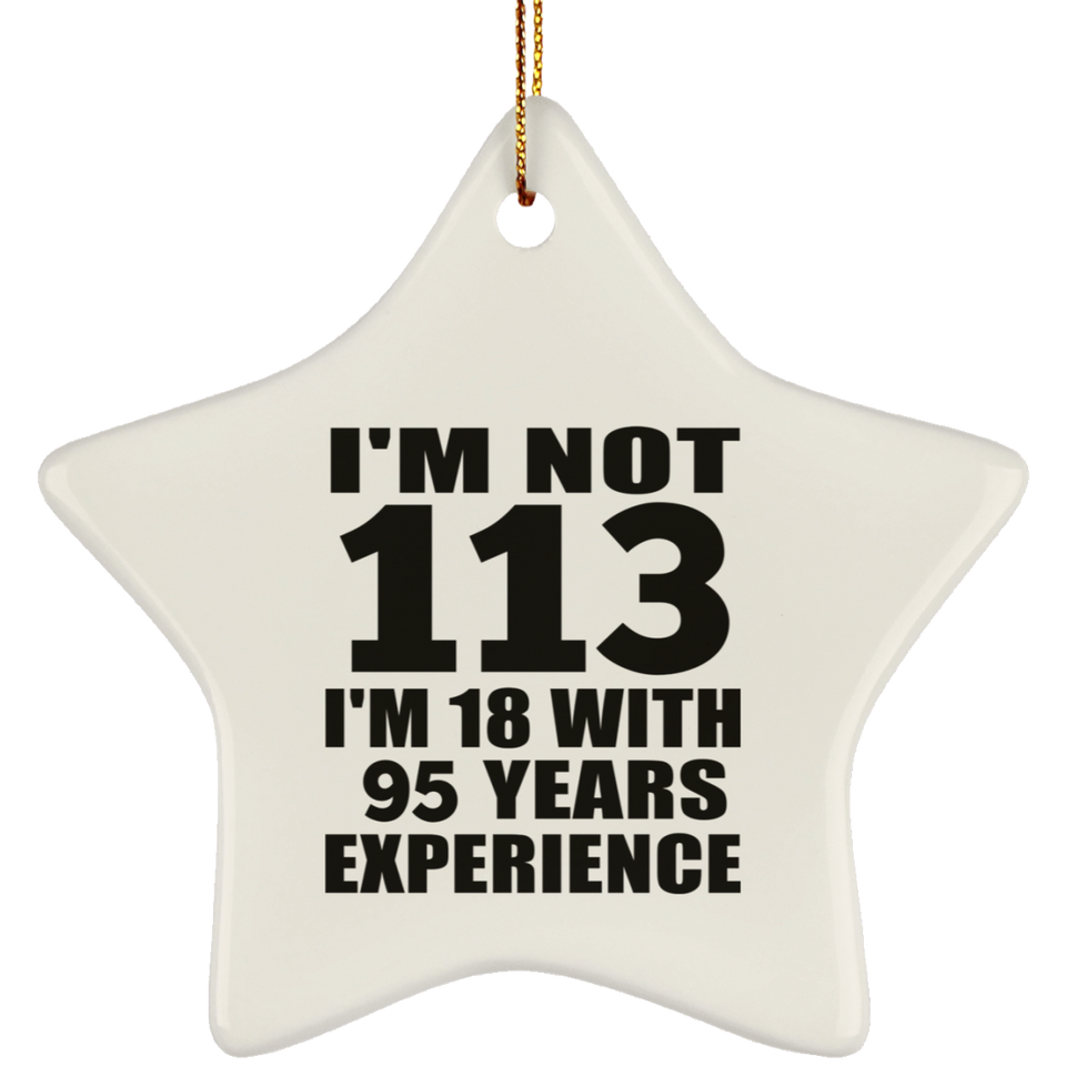 113th Birthday I'm Not 113 I'm 18 With 95 Years Experience - Star Ornament
