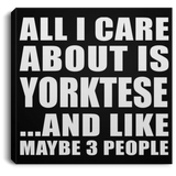 All I Care About Is Yorktese - Canvas Square