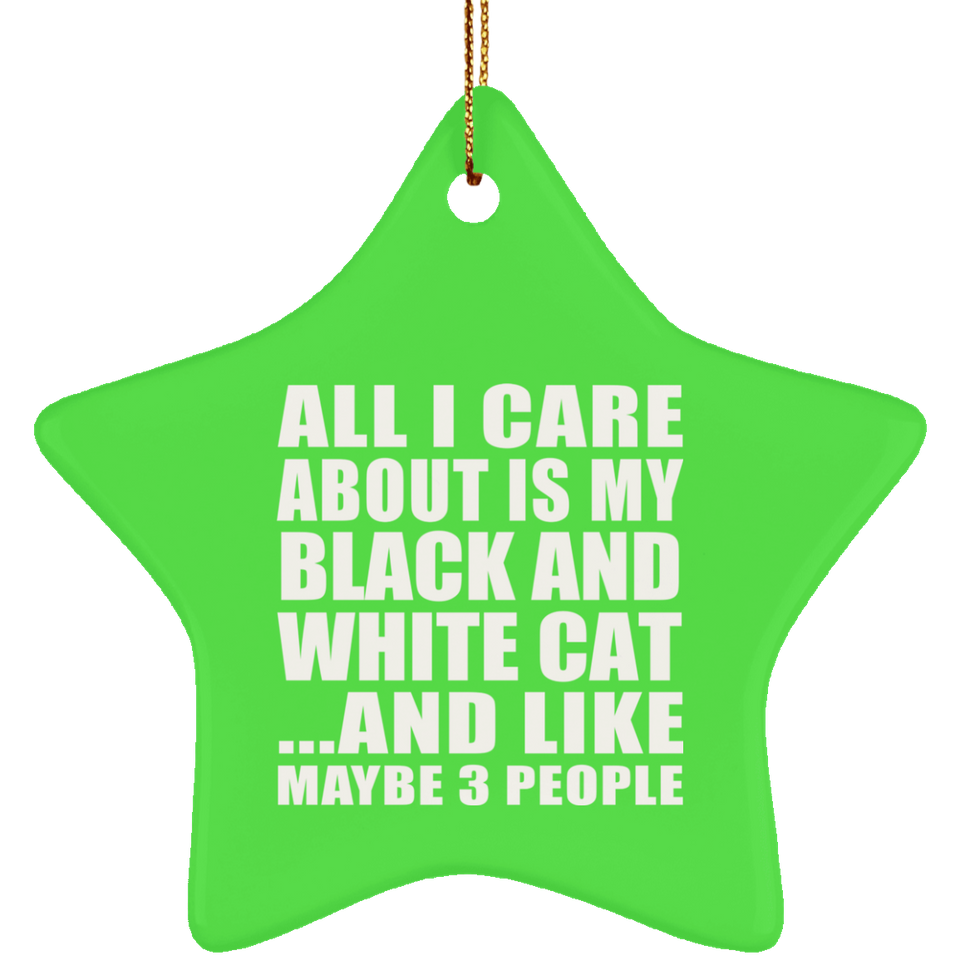 All I Care About Is My Black And White Cat - Star Ornament