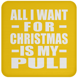 All I Want For Christmas Is My Puli - Coaster