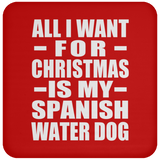All I Want For Christmas Is My Spanish Water Dog - Coaster