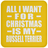 All I Want For Christmas Is My Russell Terrier - Coaster