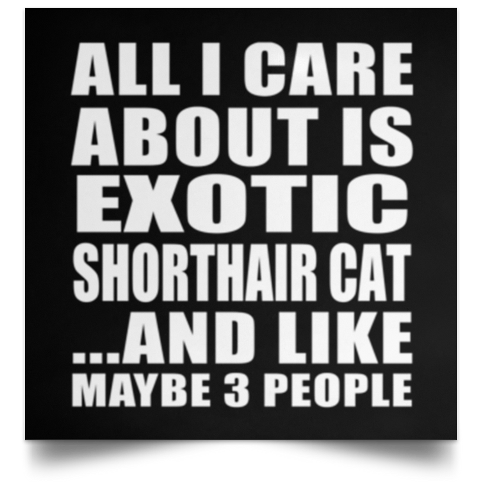 All I Care About Is Exotic Shorthair Cat - Poster Square