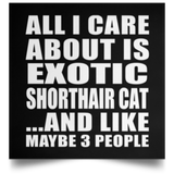 All I Care About Is Exotic Shorthair Cat - Poster Square