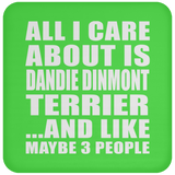 All I Care About Is Dandie Dinmont Terrier - Drink Coaster