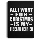 All I Want For Christmas Is My Tibetan Terrier - Canvas Portrait