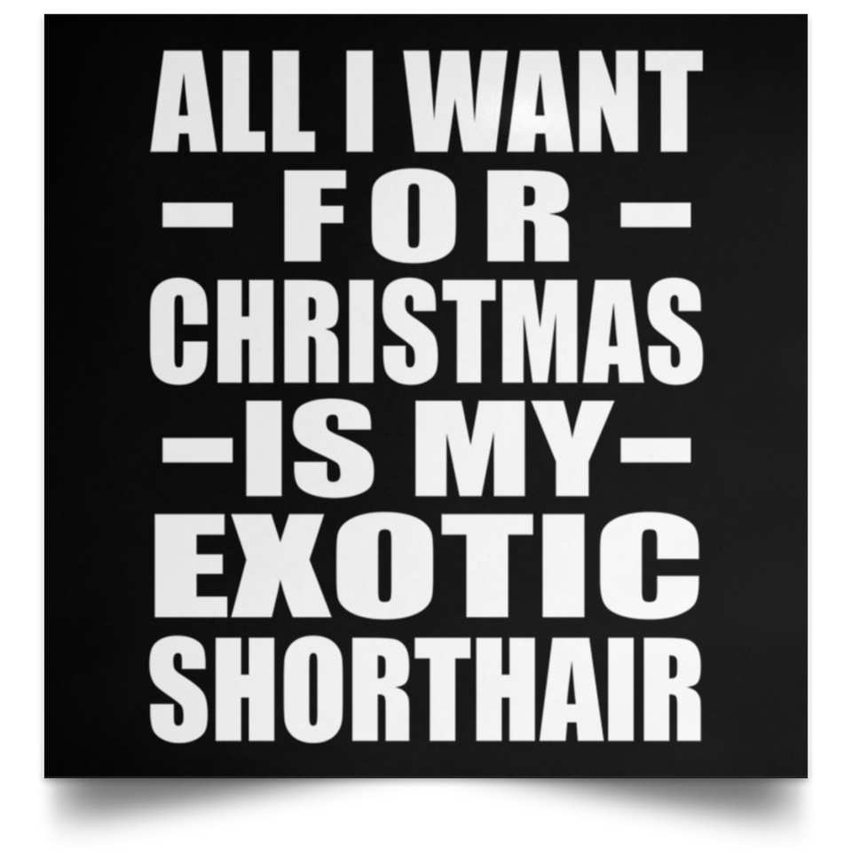 All I Want For Christmas Is My Exotic Shorthair - Poster Square