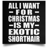 All I Want For Christmas Is My Exotic Shorthair - Poster Square