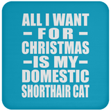 All I Want For Christmas Is My Domestic Shorthair Cat - Coaster