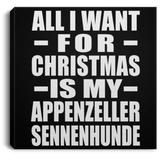 All I Want For Christmas Is My Appenzeller Sennenhunde - Canvas Square