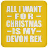 All I Want For Christmas Is My Devon Rex - Coaster