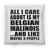 All I Care About Is My Belgian Malinois - Throw Pillow