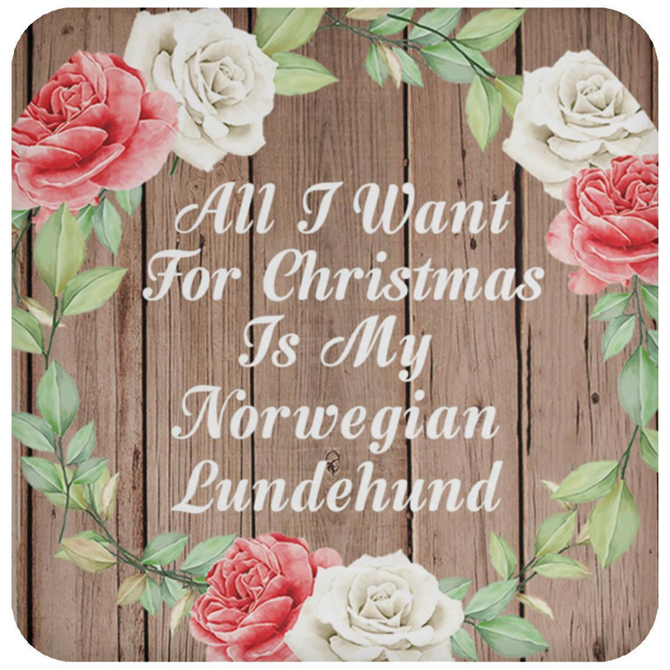 All I Want For Christmas Is My Norwegian Lundehund - Drink Coaster B