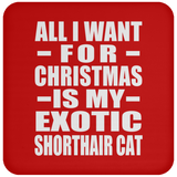 All I Want For Christmas Is My Exotic Shorthair Cat - Coaster