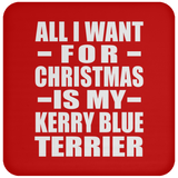 All I Want For Christmas Is My Kerry Blue Terrier - Coaster