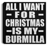 All I Want For Christmas Is My Burmilla - Canvas Square