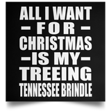 All I Want For Christmas Is My Treeing Tennessee Brindle - Poster Square