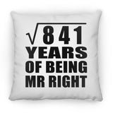 29th Anniversary Square Root of 841 Years of Being Mr Right - Throw Pillow