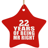 22nd Anniversary 22 Years Of Being Mr Right - Star Ornament