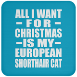 All I Want For Christmas Is My European Shorthair Cat - Coaster