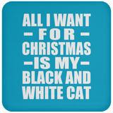 All I Want For Christmas Is My Black And White Cat - Coaster