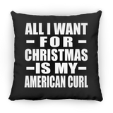 All I Want For Christmas Is My American Curl - Throw Pillow Black
