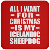 All I Want For Christmas Is My Icelandic Sheepdog - Coaster