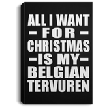 All I Want For Christmas Is My Belgian Tervuren - Canvas Portrait