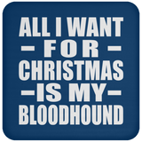 All I Want For Christmas Is My Bloodhound - Coaster