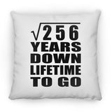 16th Anniversary Square Root of 256 Years Lifetime To Go - Throw Pillow
