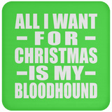 All I Want For Christmas Is My Bloodhound - Coaster