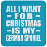 All I Want For Christmas Is My German Spaniel - Coaster