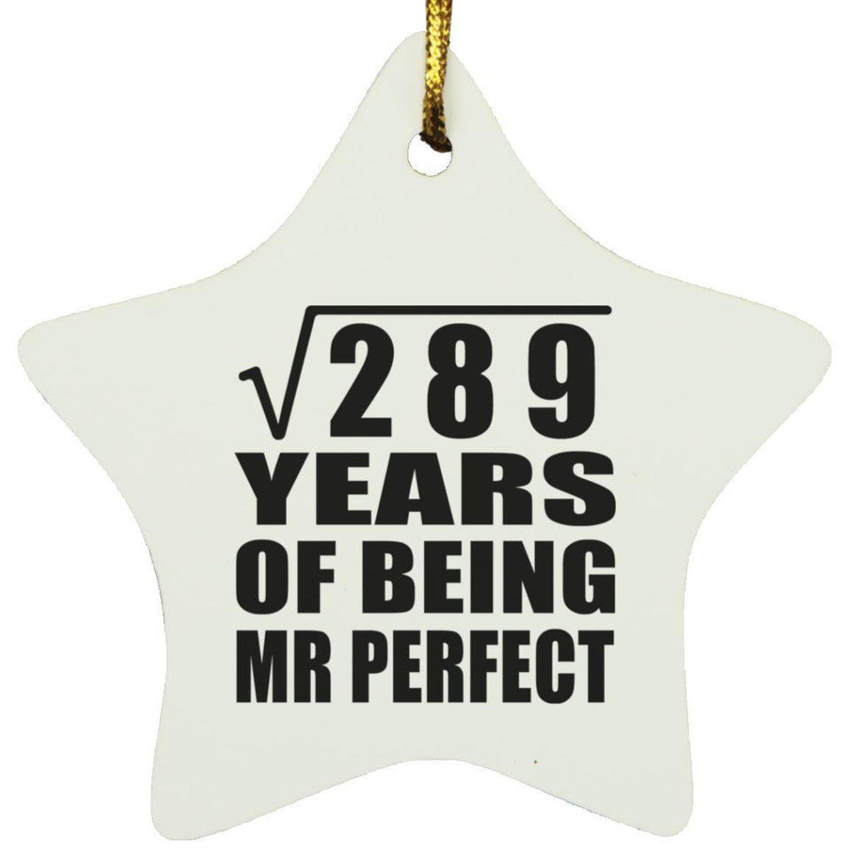 17th Anniversary Square Root of 289 Years of Mr Perfect - Star Ornament