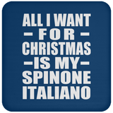 All I Want For Christmas Is My Spinone Italiano - Coaster