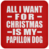 All I Want For Christmas Is My Papillon Dog - Coaster