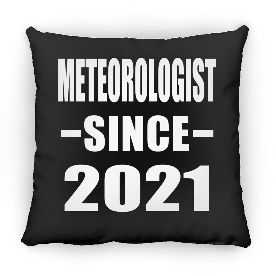 Meteorologist Since 2021 - Throw Pillow Black