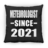 Meteorologist Since 2021 - Throw Pillow Black